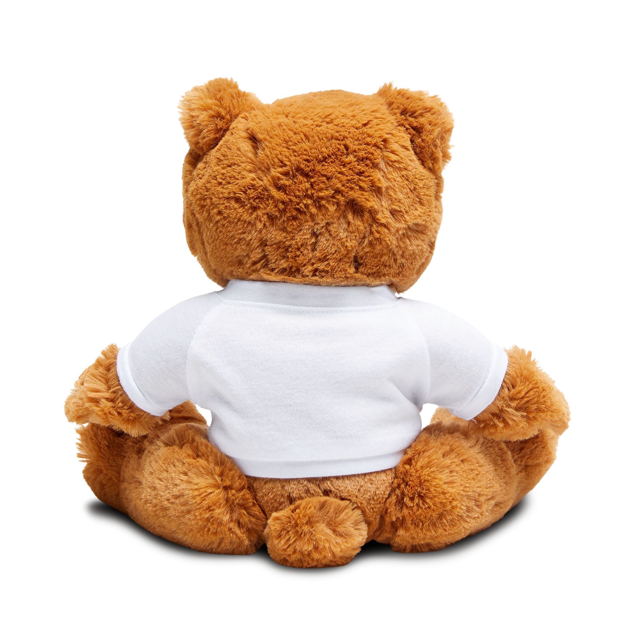 Jahan Kalantar -Teddy Bear with Moustache